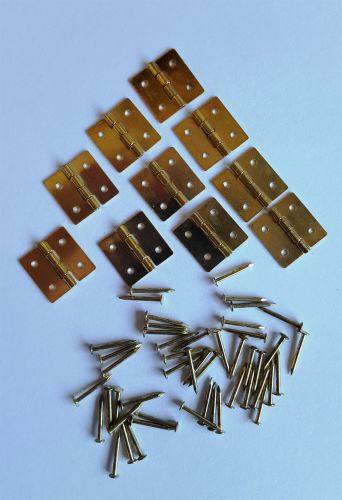 Hinges With Pins 13mm x 10